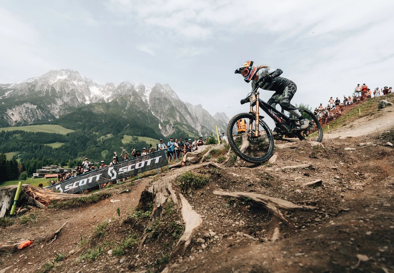 Apartment in Leogang - KUCKUCK Leogang - Top 1