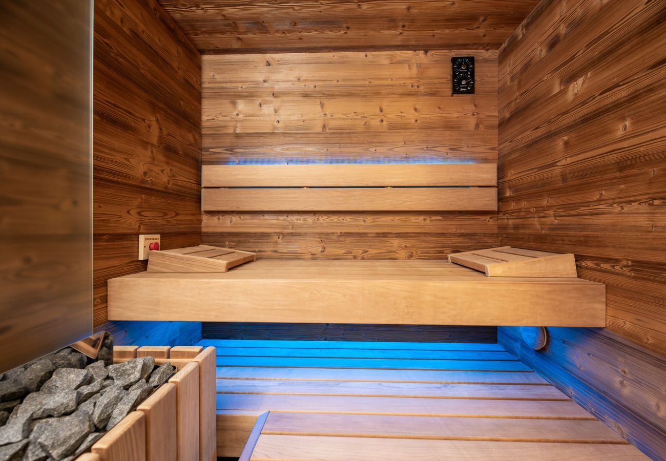 Apartment in Leogang - KUCKUCK Leogang - Top 5