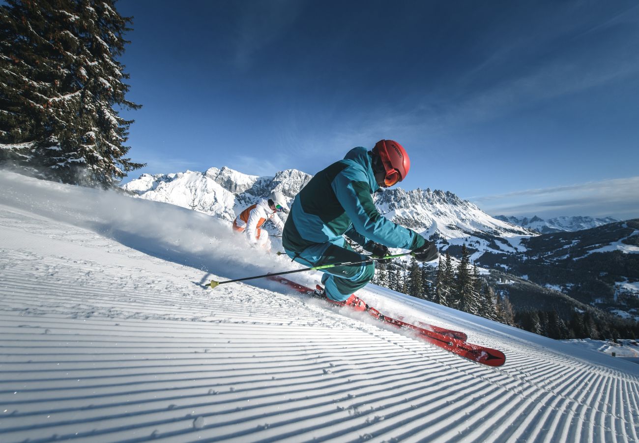 Ferienwohnung in Maria Alm am Steinernen Meer - KUCKUCK Hinterthal - Top 3