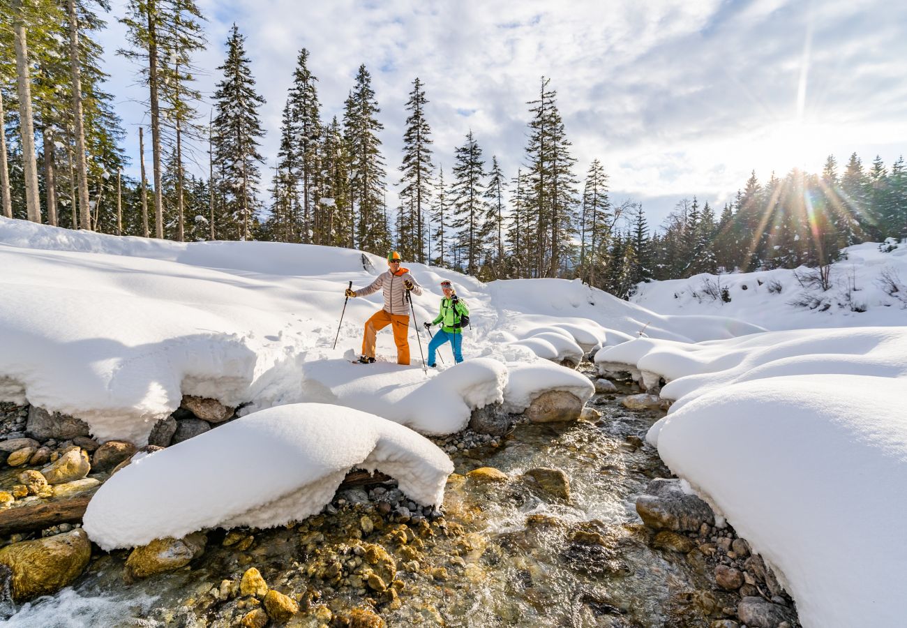 Ferienwohnung in Maria Alm am Steinernen Meer - KUCKUCK Hinterthal - Top 3
