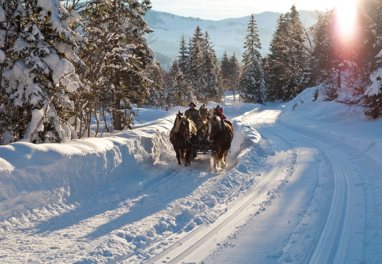 Ferienwohnung in Maria Alm am Steinernen Meer - KUCKUCK Hinterthal - Top 5