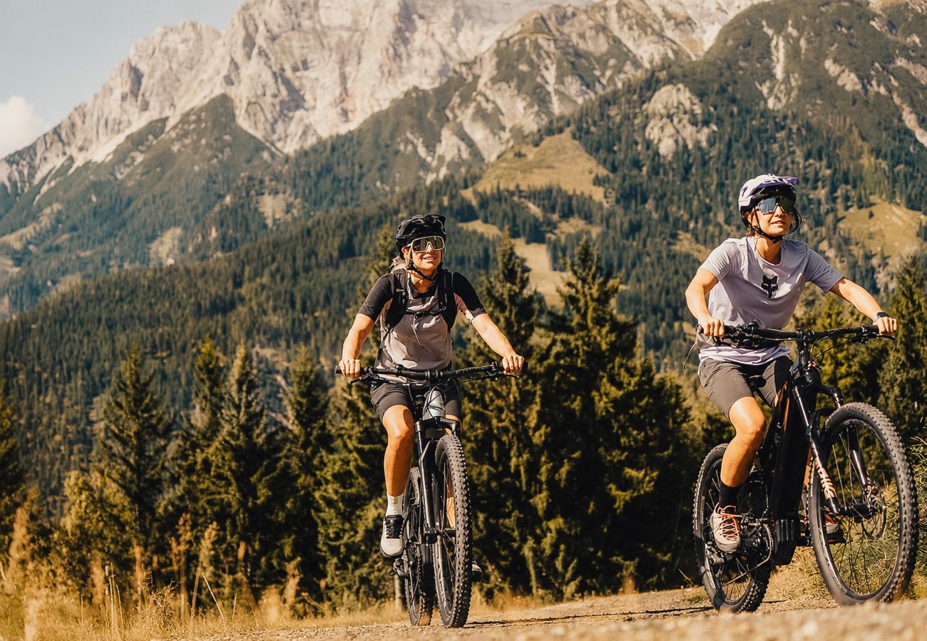 Ferienwohnung in Maria Alm am Steinernen Meer - Chesa Montana - Top 206